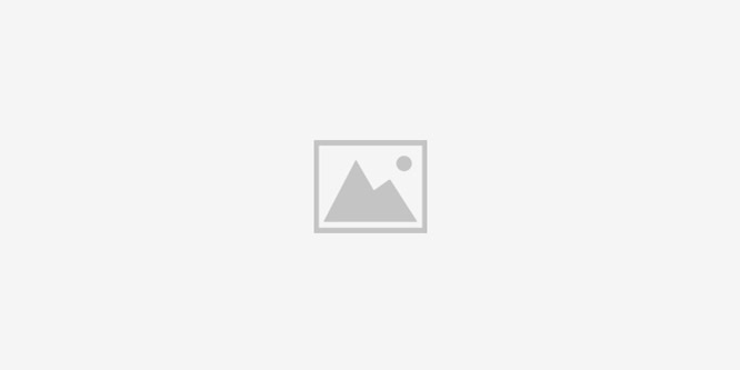 蘑菇软件无限观看字幕网短视频app手机版（最新发布)